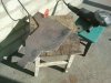 2013-03-21 09.40.22.jpg
