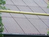 DSCF0065.jpg