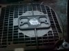 DSC00409.JPG