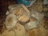 DSC00406.JPG