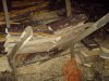 DSC00408.JPG
