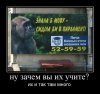 demotivator36t36.jpg