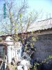 PICT0042.jpg