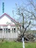 PICT0043.jpg