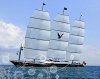 1207246336_maltese-falcon02.jpg