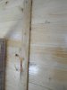 DSC02943.JPG