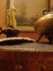 DSC04883.jpg