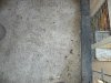 DSC02900.JPG