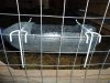 DSC02905.JPG