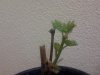 2013-04-04 21.26.51.jpg