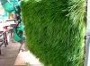 Lexus_Wall.preview.jpg