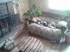 20130405_160507.jpg