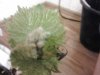 2013-04-06 19.41.11.jpg