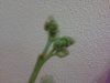2013-04-06 19.35.41.jpg