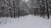 DSC00347.jpg сжатый.jpg