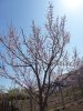 P1050535.JPG