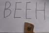 DSCN4189.jpg