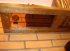 DSC06266.jpg