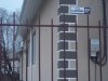 100_8081.JPG