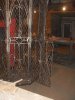 SDC17154.JPG