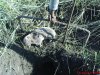 DSC01823.JPG