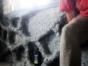 SDC110445.JPG