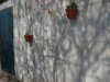 DSC01119.JPG