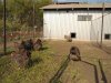 DSC03315.jpg