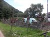 SDC10622.JPG
