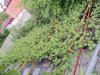 DSC05946 [Разрешение рабочего стола].JPG