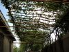 DSC05955 [Разрешение рабочего стола].JPG