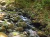 DSCN4063.jpg