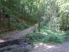 DSCN4074.jpg