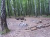 DSCN4090.jpg