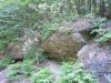 DSCN4093.jpg