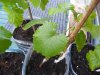 DSCF5701.JPG