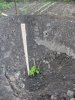 DSCF5703.JPG