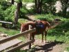 DSCF7897.JPG