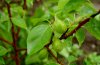 DSC_04341.jpg