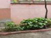DSCN4153.jpg