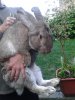 20130524_201515.jpg