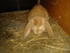 20130412_194350.jpg