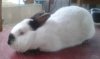 20130331_085116-1.jpg