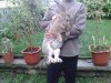 20130524_201454.jpg
