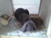 20130515_180513.jpg