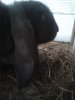 20130515_194708.jpg