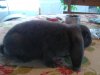 20130515_195541.jpg