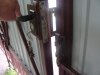 DSC07498a.jpg