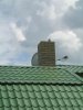 IMG_2867.jpg