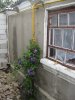 IMG_0262.JPG